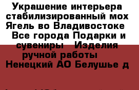 Украшение интерьера стабилизированный мох Ягель во Владивостоке - Все города Подарки и сувениры » Изделия ручной работы   . Ненецкий АО,Белушье д.